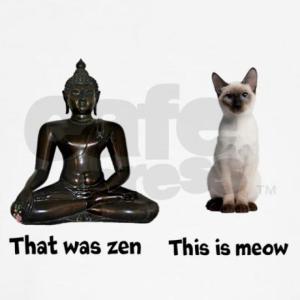 zen_and_meow